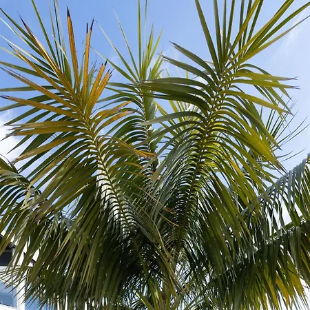 Andrade Ocean View *